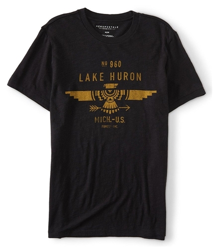 Aeropostale Mens Lake Huron Graphic T-Shirt 001 S