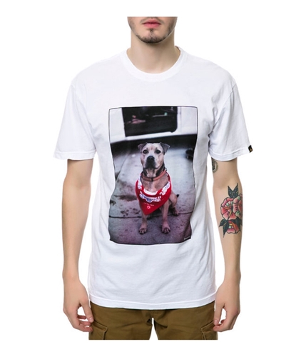 Emerica. Mens The Chief Dog Graphic T-Shirt white S