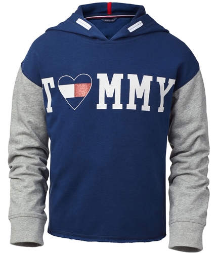 Brun dommer ansvar Buy a Girls Tommy Hilfiger Colorblock Hoodie Sweatshirt Online |  TagsWeekly.com