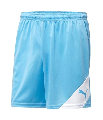 Puma Mens Santiago Athletic Workout Shorts blue S