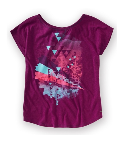 Aeropostale Womens Geometric Print Oversized Graphic T-Shirt 689 S