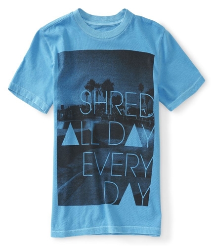 Aeropostale Boys Shred All Day Everyday Graphic T-Shirt 452 4