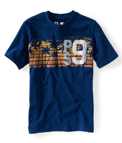 Aeropostale Boys PS Palm Graphic T-Shirt 493 4