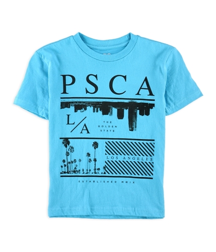 Aeropostale Boys LA CA Graphic T-Shirt 462 5