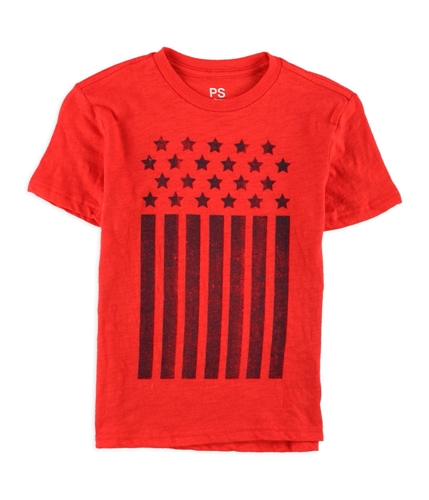 Aeropostale Boys Stars & Stripes Graphic T-Shirt 601 6