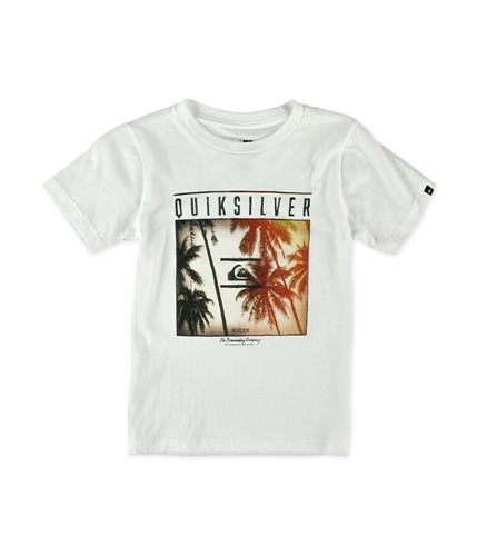 Quiksilver Boys Perfect Location Graphic T-Shirt white 7
