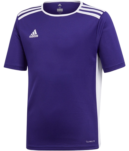Adidas Boys Entrada 18 Soccer Jersey purple XS