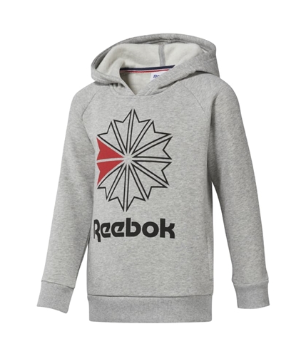 Reebok Boys Logo Hoodie Sweatshirt gray XXS