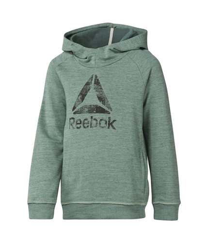 Reebok Boys Logo Hoodie Sweatshirt chlgrn S