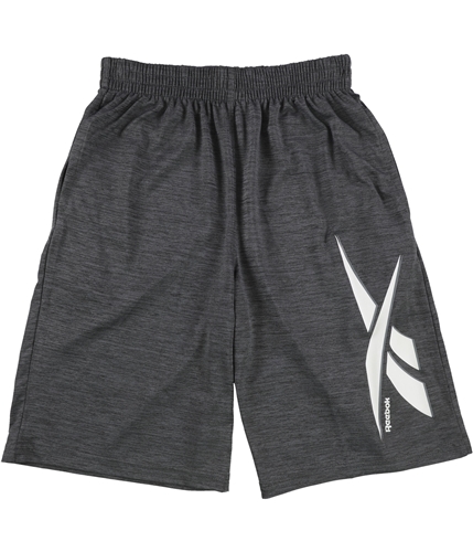 Reebok Boys Logo Athletic Workout Shorts gray L
