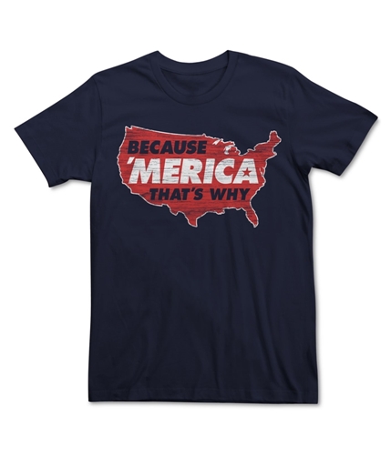 Fifth Sun Mens Because 'Merica That's Why Graphic T-Shirt navy S