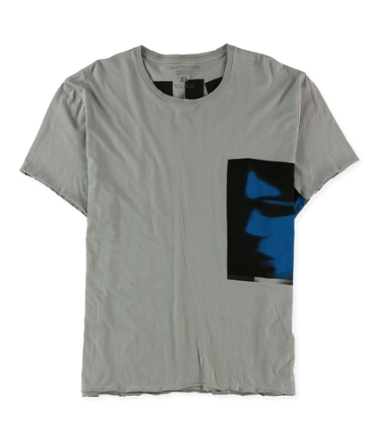 Calvin Klein Mens Hol 2 Graphic T-Shirt altitude XL