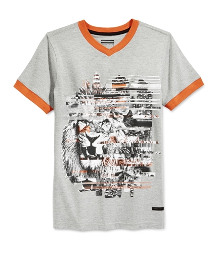 Sean John Boys Lion Striped Graphic T-Shirt minhgrey 4