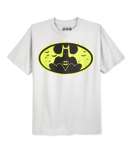 Batman Boys Dark Knight Graphic T-Shirt silver 6