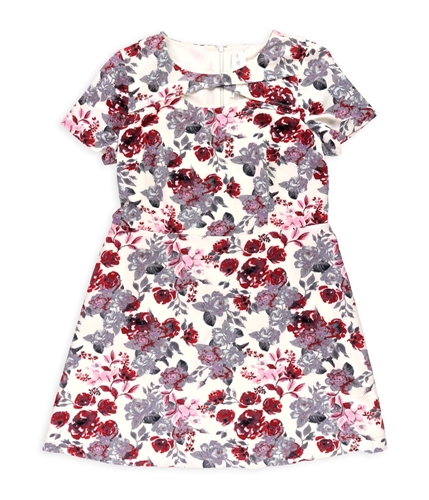 Kensie Womens Floral A-line Dress multi XL